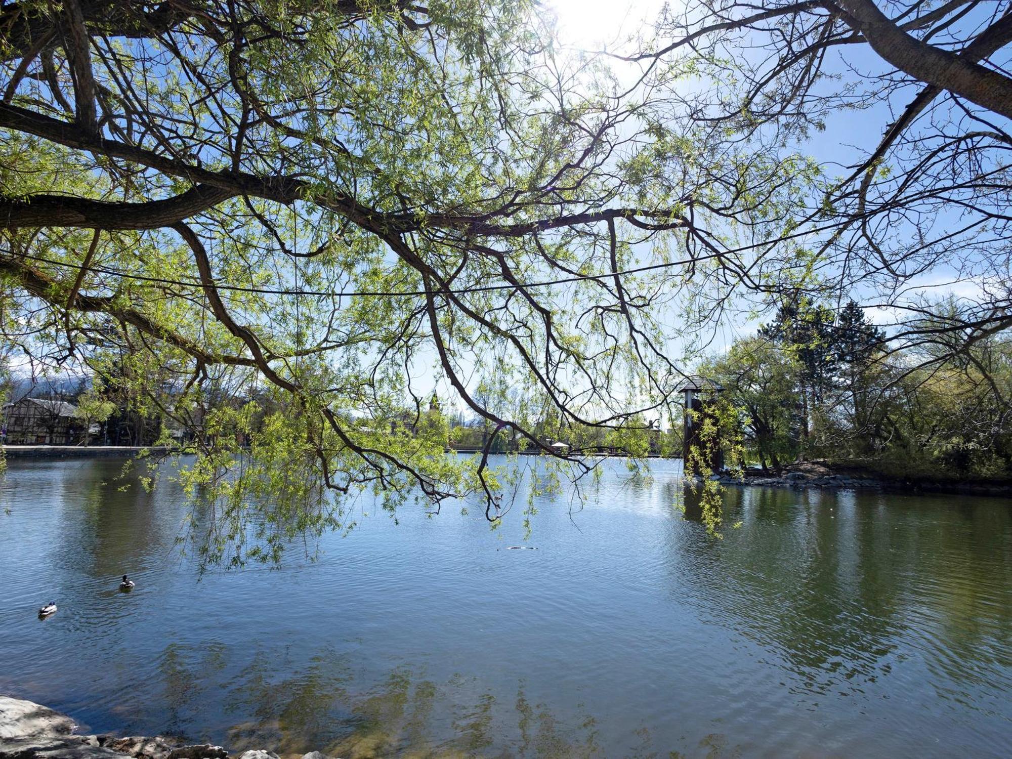 Appartamento Alfons I Puigcerdà Esterno foto